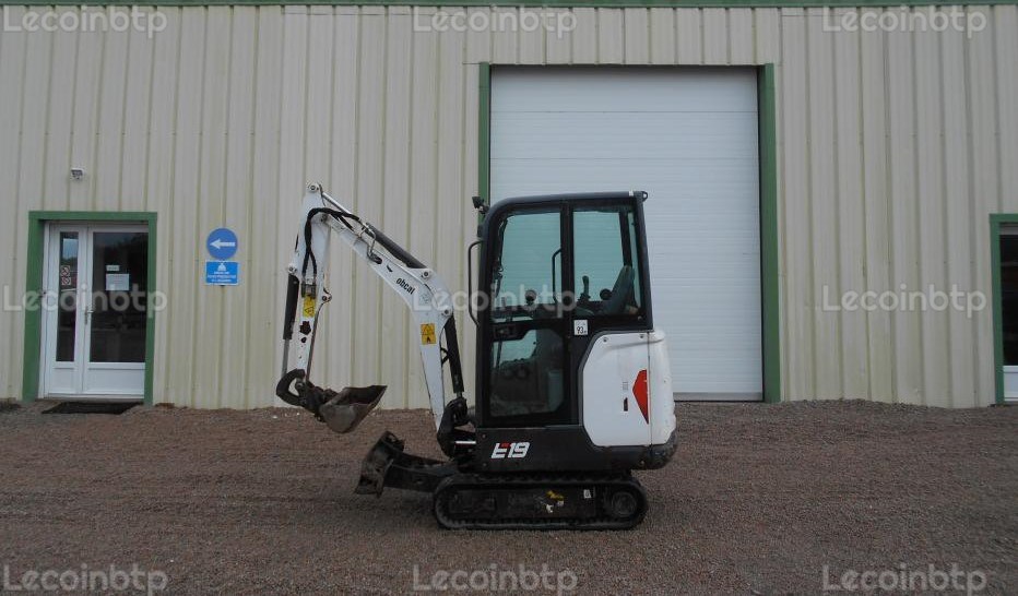 PELLE BOBCAT E19